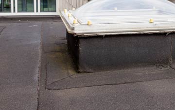 disadvantages of Copt Green flat roofs